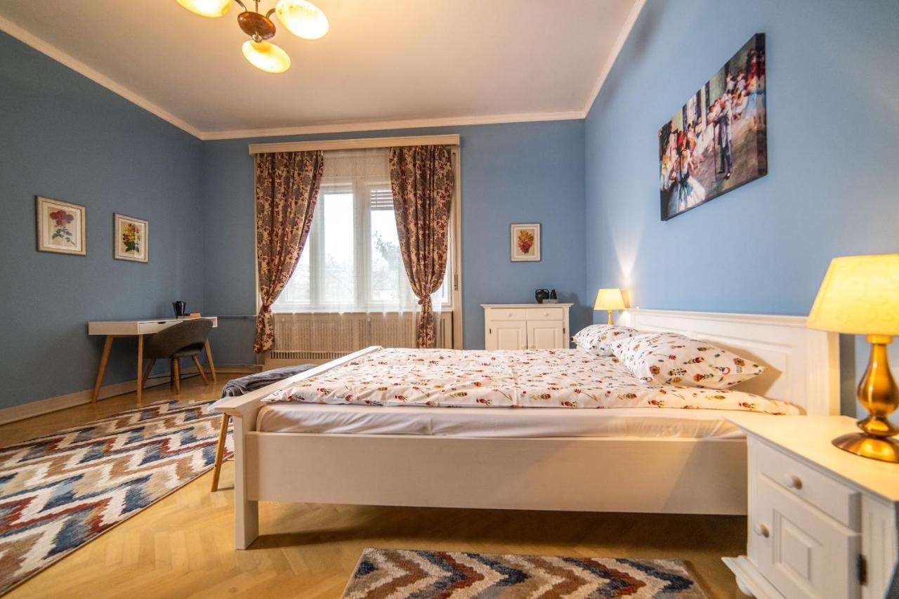 City House 티미쇼아라 외부 사진