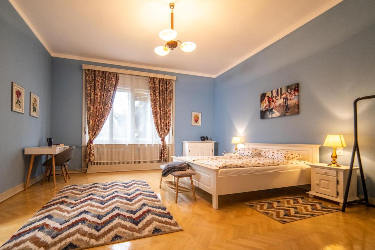 City House 티미쇼아라 외부 사진