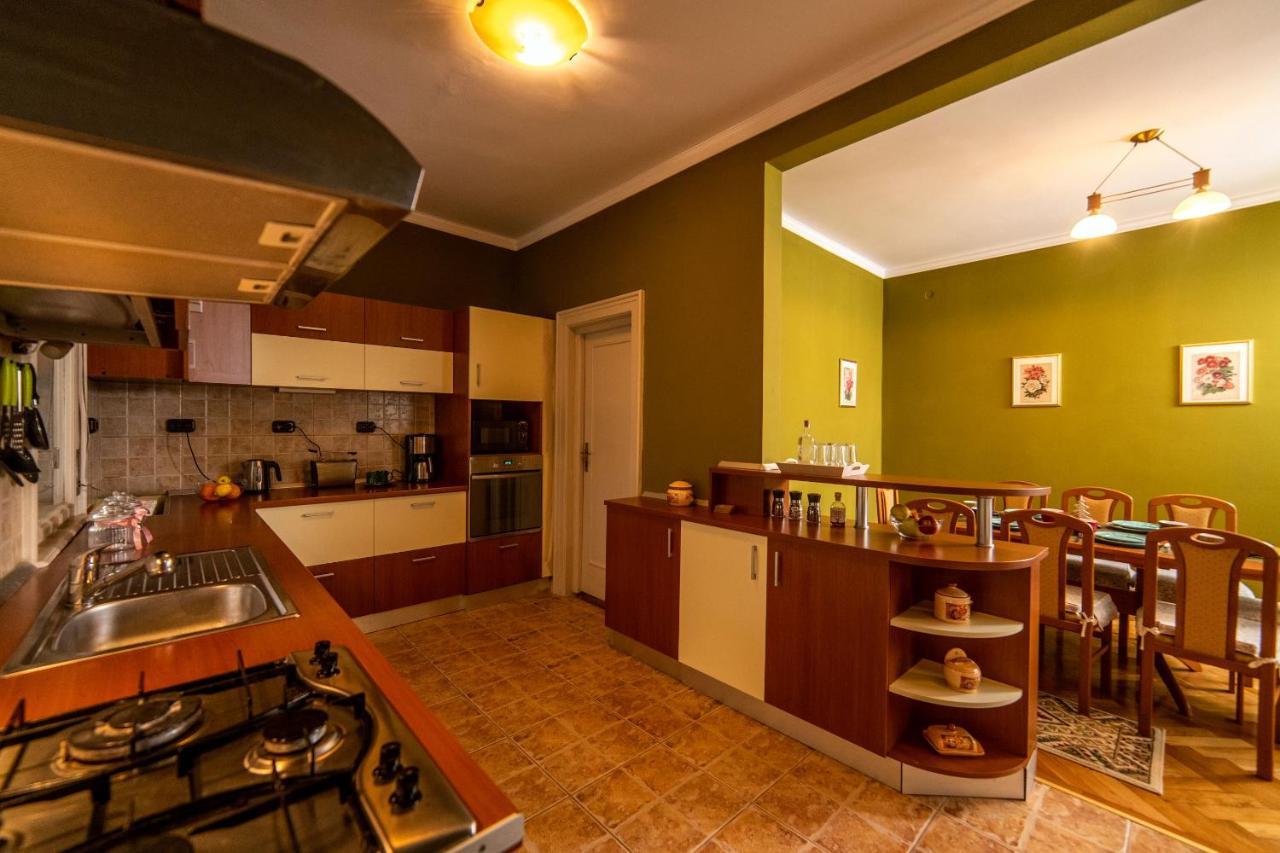 City House 티미쇼아라 외부 사진
